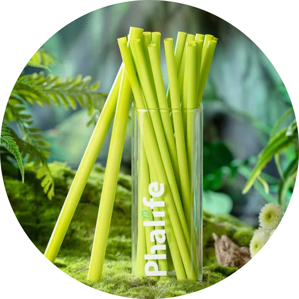 Plant Source